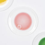 Birth of shapes, plates (1-5), 2024sublimation on plate, diam 27 cm